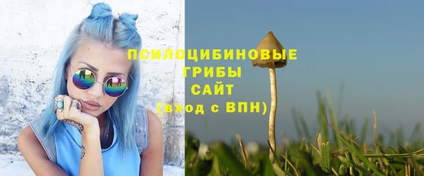 не бодяженный Горно-Алтайск