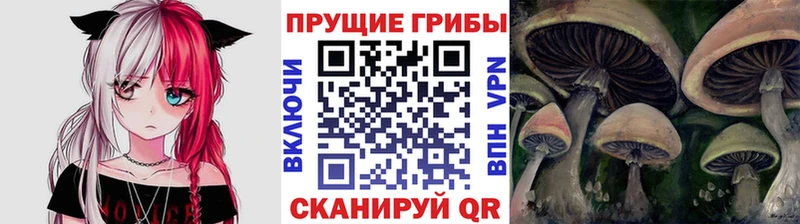 купить наркотик Ковров MEGA Псилоцибиновые грибы мухоморы