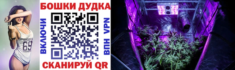 Марихуана Bruce Banner Ковров